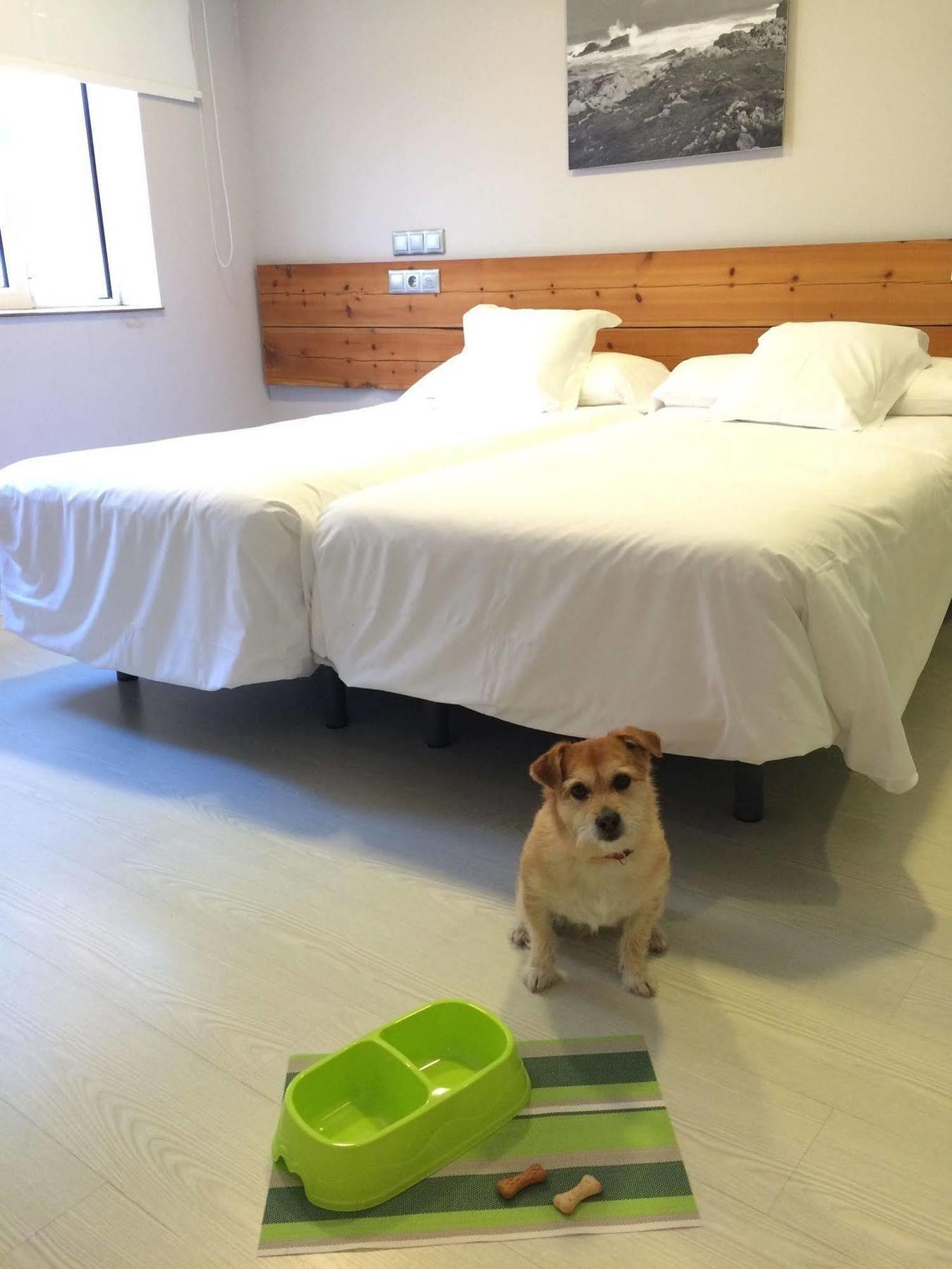 Hosteria Santander Dış mekan fotoğraf